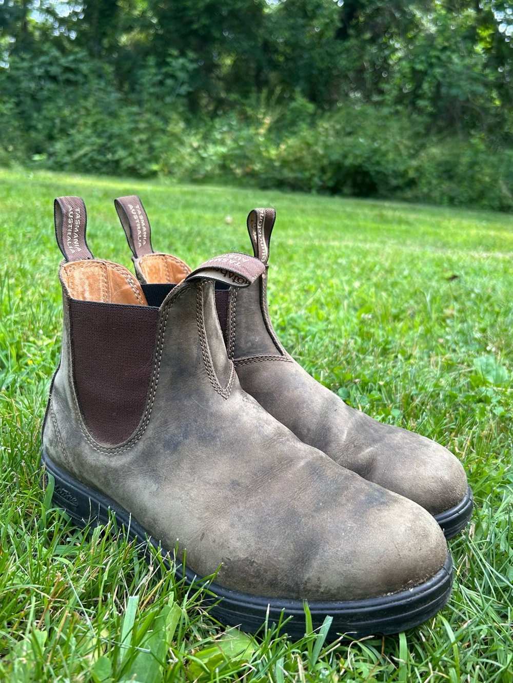Blundstone 585 (classics) - rustic brown